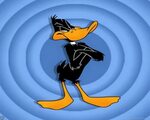 Daffy Duck - Nice Pic - DesiComments.com