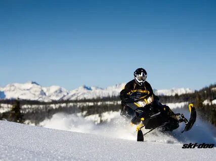 Скачать обои лес, снег, чёрный, спорт, sport, snow, снегоход