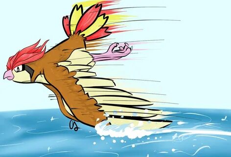 25 Awesome And Interesting Facts About Pidgeotto From Pokemo