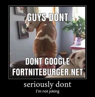 I wouldn't do it fortniteburger.net Know Your Meme