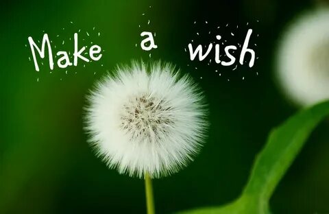 Make a Wish 2x3 Fridge Magnet - Magnetic Appeal Shops