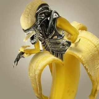 Bananamorph #alien# covenant #xenomorph# hrgiger #xenomorphs