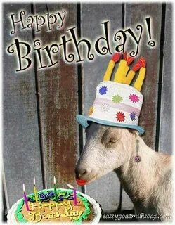 Pin by Siren Muse on Happy Birthday Happy birthday goat, Hap