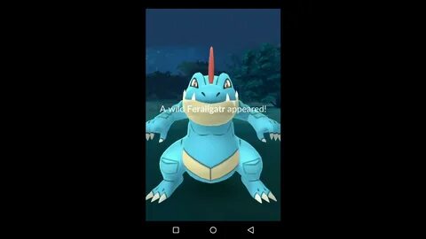 WILD FERALIGATR AS A SURPRISE IN PUNE INDIA - YouTube