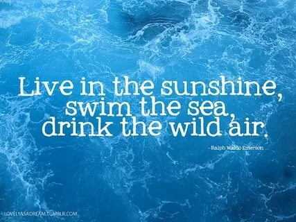 Swim the sea Sea quotes, Ocean quotes, Quotes