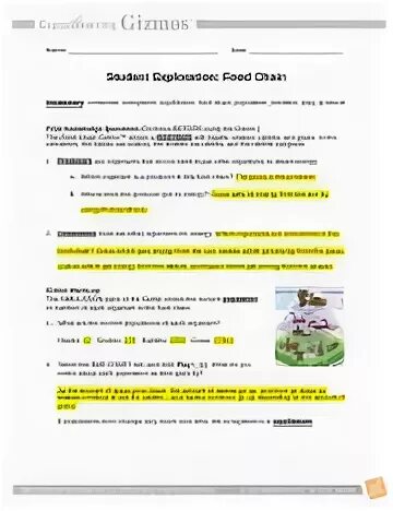 Student Exploration Food Chain Gizmo Answer Key - Food chain