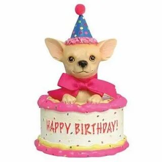 Chihuahua Birthday Memes - Imgflip