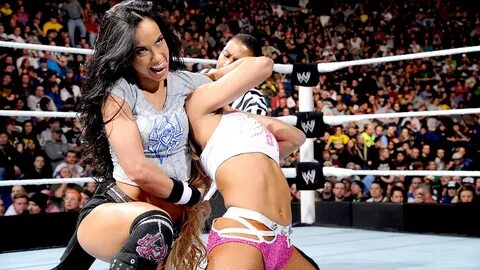 Elimination Chamber Digitals 2/23/14 - AJ Lee Photo (3670591