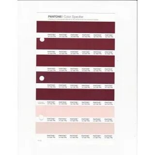 PANTONE 11-0701 TPG Whisper White Replacement Page (Fashion,