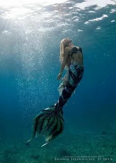 Rising into the light Mermaid photography, Real life mermaid