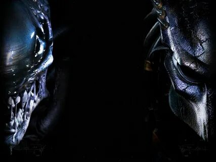 Alien Vs Predator Wallpapers - Wallpaper Cave Alien vs preda