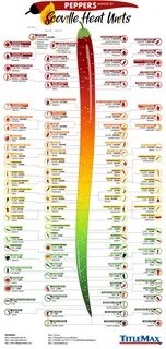 Peppers Ranked by Scoville Heat Units - Infographics by Grap