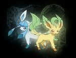 Glaceon HD Wallpapers - Wallpaper Cave