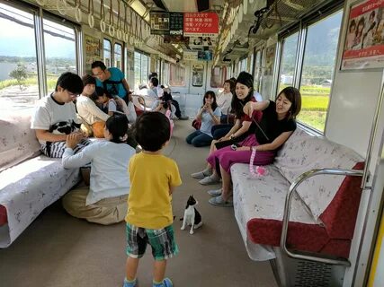 Cat Train in Japan - Is This for Real? - Catman - Cat Storie