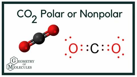 View 16 Co2 Polar Or Nonpolar - guarurec