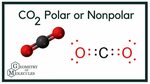 Is CO2 Polar or Nonpolar? (Carbon Dioxide) - YouTube