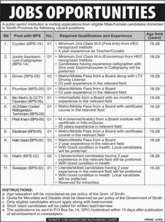 Public Sector Institution Jobs Sindh Domiciled - Filectory