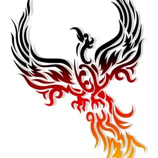 Thebirdonfire - YouTube