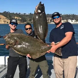 California Halibut Counts by Boat - March 8, 2018
