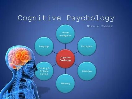 Unit 5: Cognitive Psychology Psychology Quiz - Quizizz