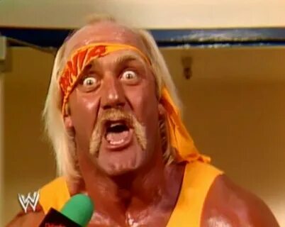 If Hulk Hogan came back who would you want him to face? Wres