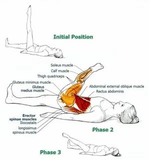 Подвздошно-поясничная мышца: анатомия, функции, упражнения д