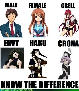 The Basic Genders of Anime