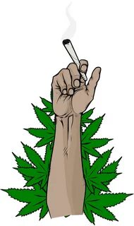 Weed Clipart Transparent - Marihuana Png - (1024x1729) Png C