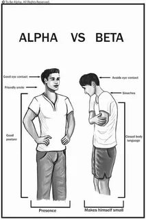 Alpha vs Beta social classes Alpha male quotes, Alpha male c