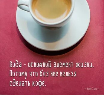 #вода #кофе #coffee Цитаты о кофе, Факты о кофе, Кофе