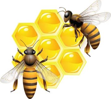 Honey PNG Image - PurePNG Free transparent CC0 PNG Image Lib