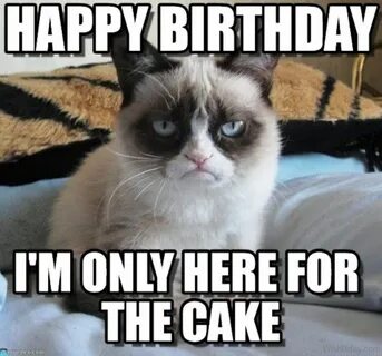 Cat birthday memes, Grumpy cat quotes, Funny grumpy cat meme