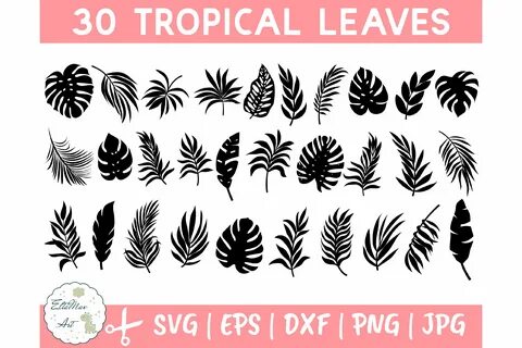 Jungle Leaf Clipart Svg - 251+ SVG File for DIY Machine