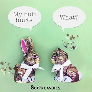 Pin by Robbyj Bridwell on Funny Banners Chocolate bunny, Fas