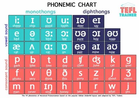 Phonemic Chart and IPA - Your English Hub