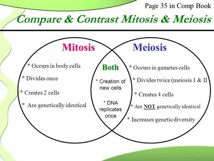 venn diagram comparing mitosis and meiosis - Besko