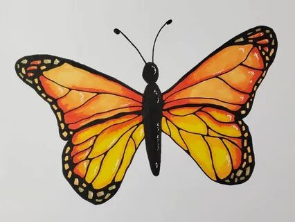 How to Draw a Butterfly Easy & Fun Drawing Tutorial - Art by