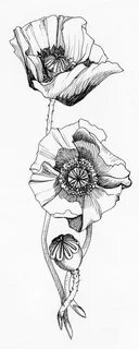 Pin by Izabella Gordienko on Inked California poppy tattoo, 