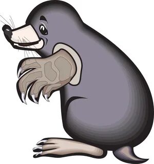 Cartoon Picture Of A Rat 10, Buy Clip Art - Mole Clipart - (
