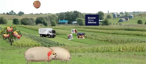 A rare look at the KnowYourMeme Official Meme Farm Know Your