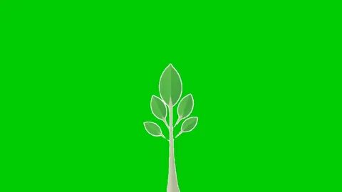 Leaves and Flowers and Grass Green Screen animation Editor G