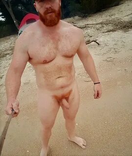 What's Down Under: Ginger Bear by the Sea