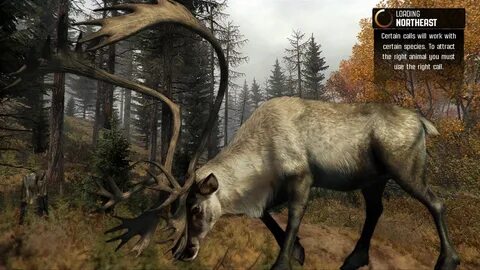 Cabela's Big Game Hunter: Pro Hunts - гайды, новости, статьи