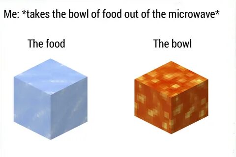 Minecraft logic is still more realistic than microwaves logi
