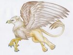 Gryphon by Lintufriikki by mythical-creatures on deviantART 
