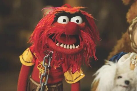 Pin by Liz Santiago Ladwig on Muppets Muppets, Animal muppet