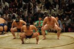 Sumo comes to town