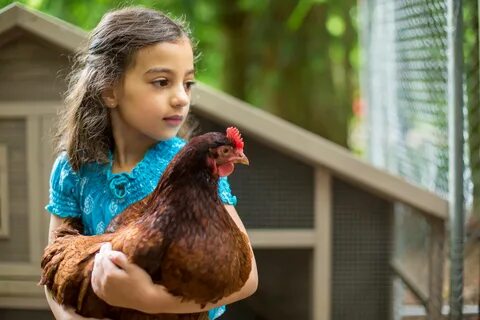 Girl with Chickens