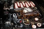 Blue Engine Bay 8 Images - 2014 Ford Mustang Shelby Gt500 Su
