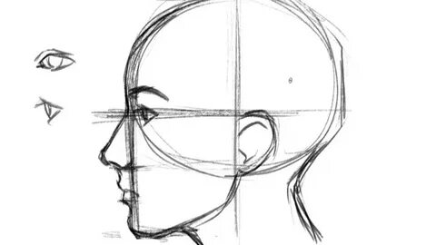 How to Draw a Face- Profile - YouTube